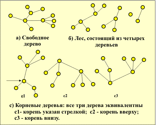 Тест 4 дерева. Корневое дерево графы. Свободные деревья графы.