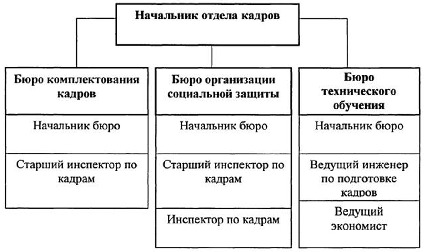 Структура отдела кадров на предприятии