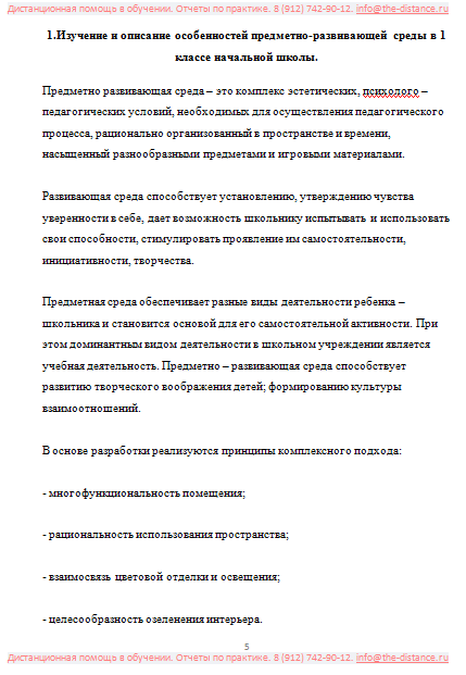 Пример отчета по практике НСПК