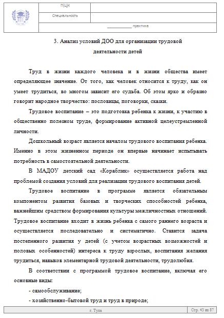 Пример отчета по практике по дошкольному образованию