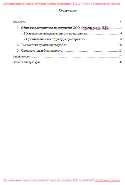 Пример отчета по практике ИДК