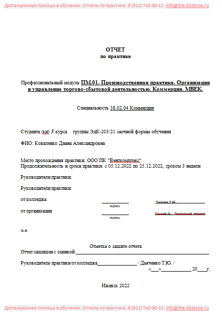 Пример  отчета по практике МВЕК