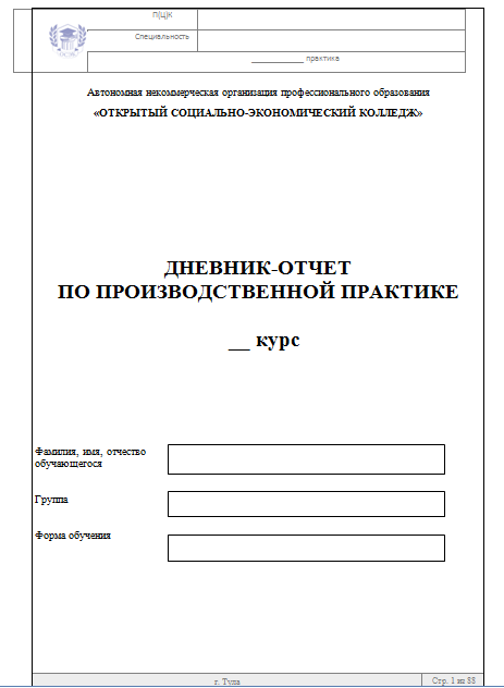 Пример отчета по практике по дошкольному образованию